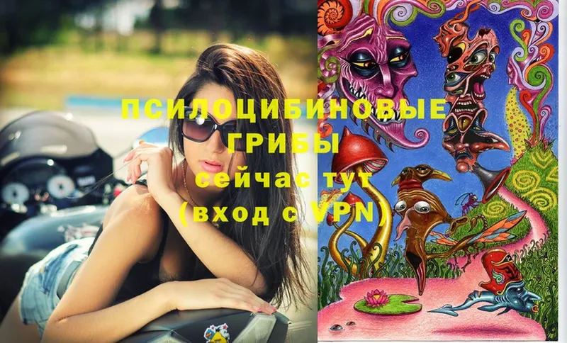 Галлюциногенные грибы Magic Shrooms  Поронайск 